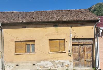 Casă cu 3 camere în Mehadia - 2