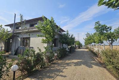 REV2005037 Vila individuala de vanzare in Ciorogarla - 1