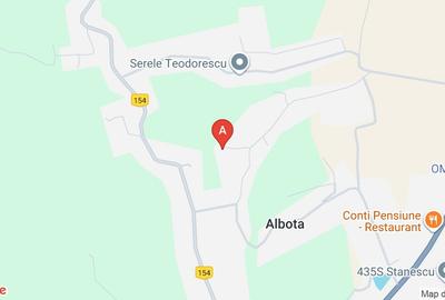 Vanzare vila superbă, P+1+Pod, Albota - 1