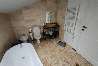Casă cu Teren 3600 Mp în Bejan - 2