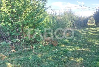 Teren pretabil  pentru cabana sau gradina 352 mp zona deosebita Tocile - 2