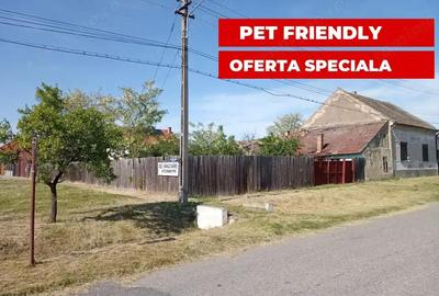 Casa pe colt langa Politia Nadlac, M. Eminescu colt cu V. Lucaciu - 3