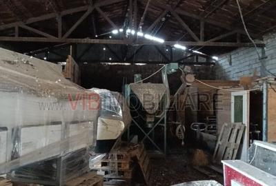 Depozit de vânzare – 392 mp construiți, Timis - Orțișoara, zonă industrială Avic - 10