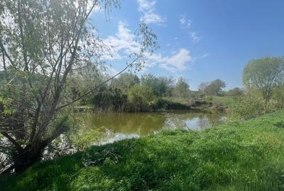 Teren agricol intravilan de 15000 mp, în Snagov - 2