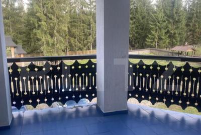 Vanzare pensiune intr-o zona superba din Poiana Negrii - 1