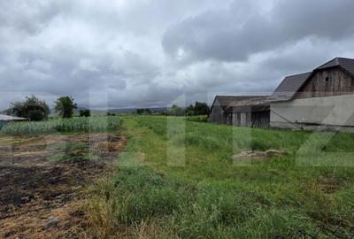 Teren intravilan 29 ari, Jelna, acces la asfalt - 3