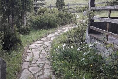 Casă cu 3 camere în Piatra - 9