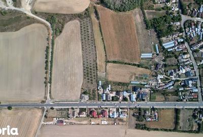 Teren de 9654 mp, în Dobra - 9