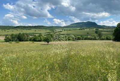 Teren agricol extravilan de 6500 mp, în Cușma - 3