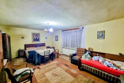 Casă mare, Parter + Etaj, la Vasiova, pe strada Principală (Tudor Vladimirescu) - 4