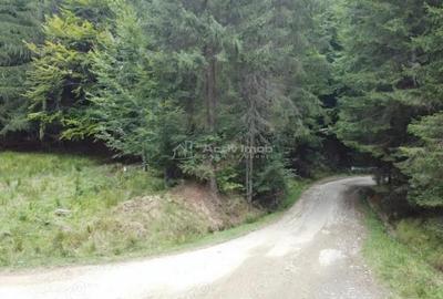 Teren de 69450 mp, în Arefu - 4