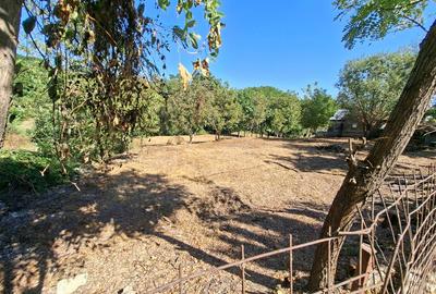 Teren curatat de vegetatie, 1600mp, strada Musat Voda nr. 26-28, - 3