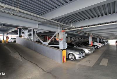 Garsonieră în Vidra - 5