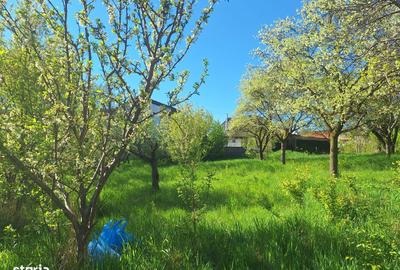 Spațiu comercial, în Ultracentral - 3