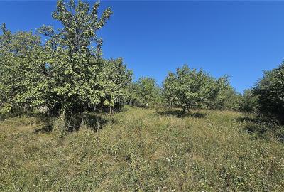 Proprietate cu potential turistic in sat Pietroasa, com. Moldovenesti, jud. Cluj - 5