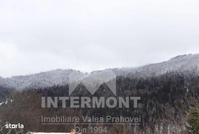 Spațiu comercial, în Sud - 2