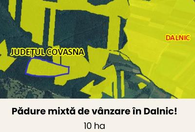 Teren de 100000 mp, în Dalnic - 4