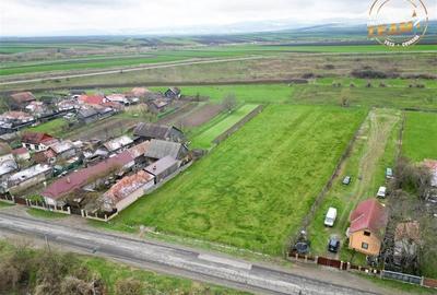 FILM!Potential rezidential/ investitional: 8.000 mp intravilan construibil, Sanz - 4