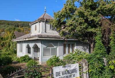 Casa la strada principala Hemeius, 600m teren - 8