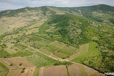 Teren extravilan - 3654 mp Dealul ?iriei - 3