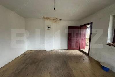 Casa cu 2 camere in Densus, 20 km de Manastirea Prinslop - 3