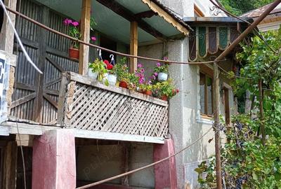 Casa Comuna Valea Mare, Jud Valcea - 9