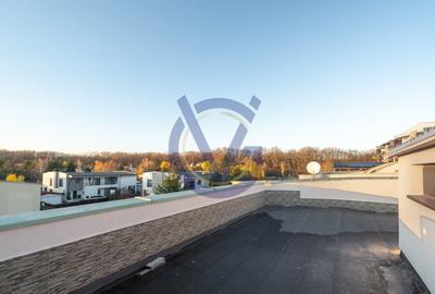 Siguranta si confort-Iancu Nicolae! Vila cu 5 camere, renovata 2025-COMISION 0% - 36