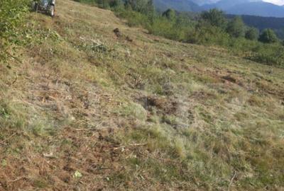 Teren extravilan 3300 mp, Car?i?oara- Set - 2