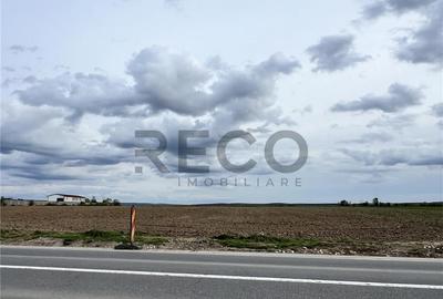 Teren industrial in Fughiu pe DN60. - 4