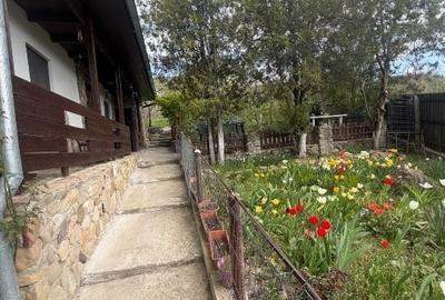 Casă individuală cu 4 camere cu Teren 2000 Mp în Beceni - 6