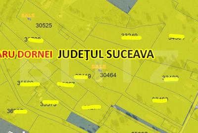 Teren de 16688 mp, în Șaru Dornei - 7