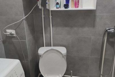 Vanzare garsoniera zona Ozana - 3