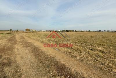 Casă cu Teren 10000 Mp în Băicoi - 5