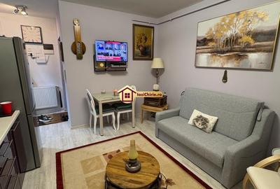 Apartament cu 2 camere semidecomandat, mobilat în Păcurari - 7