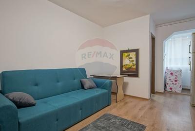 Apartament cu 1 camere de inchiriat in zona Bartolomeu - 9