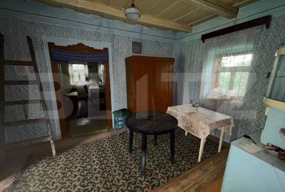 Casa de vanzare, cu 10 ari de gradina.