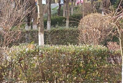 Apartament de vanzare, 2 camere, Între Lacuri, balcon 9mp - 9