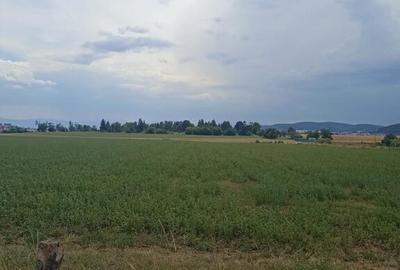 De vanzare terenuri extravilane in Sfantu Gheorghe - 6
