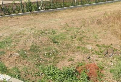 Teren Construcții intravilan de 1486 mp, în Snagov - 3