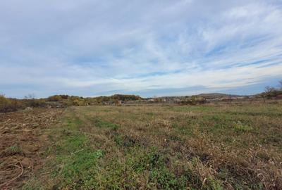 Teren intravilan, 4967 mp, utilita?i, sat Rasova, Bale? - 9