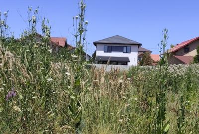 FARA COMISION TEREN de vinzare 500mp gaze curent canal apa autorizatie asfalt - 2