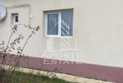 Casa individuala in Remetea Mare cu 1219 mp de teren - 17