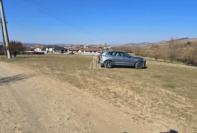 Teren Construcții intravilan de 4362 mp, în Sângeorgiu de Mureș - 7