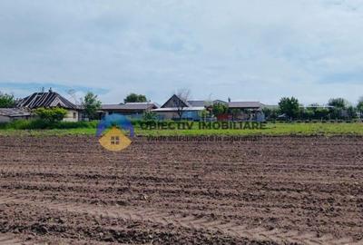 Teren- Com. Stefan cel Mare- jud. Neamt - 9