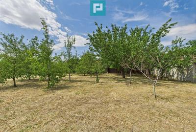 Casa, Com.Irato?u. Jud.Arad - 12