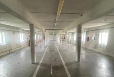 Hale de inchiriat, 676 mp in Dumbravi?a - 5