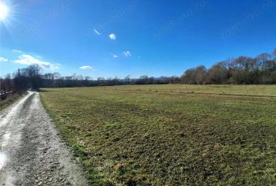 Teren intravilan 14780 mp, comision 0%, inTopolita, Neamt, pretabil afacere - 3