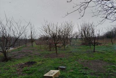 Casă cu 5 camere în Racovița - 18