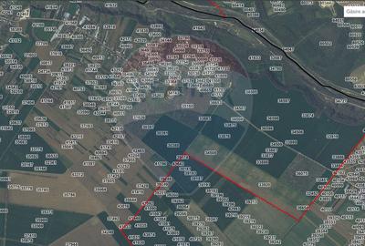 Vanzare Teren Constructii Adunatii-Copaceni, Deschidere Directa la DN5 - 3