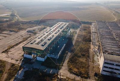 Teren industrial Orastie 13,5 ha cu hale fosta platforma industriala - 7